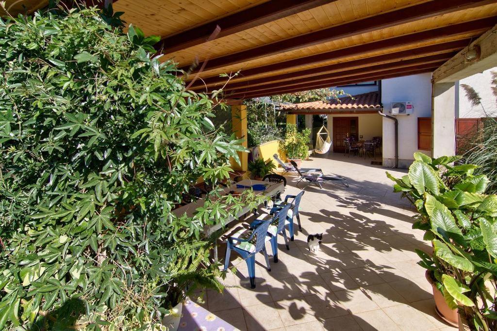 Apartments Caterina Pula Luaran gambar